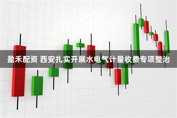 盈禾配资 西安扎实开展水电气计量收费专项整治